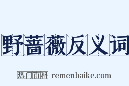 野蔷薇反义词是什么意思的图片